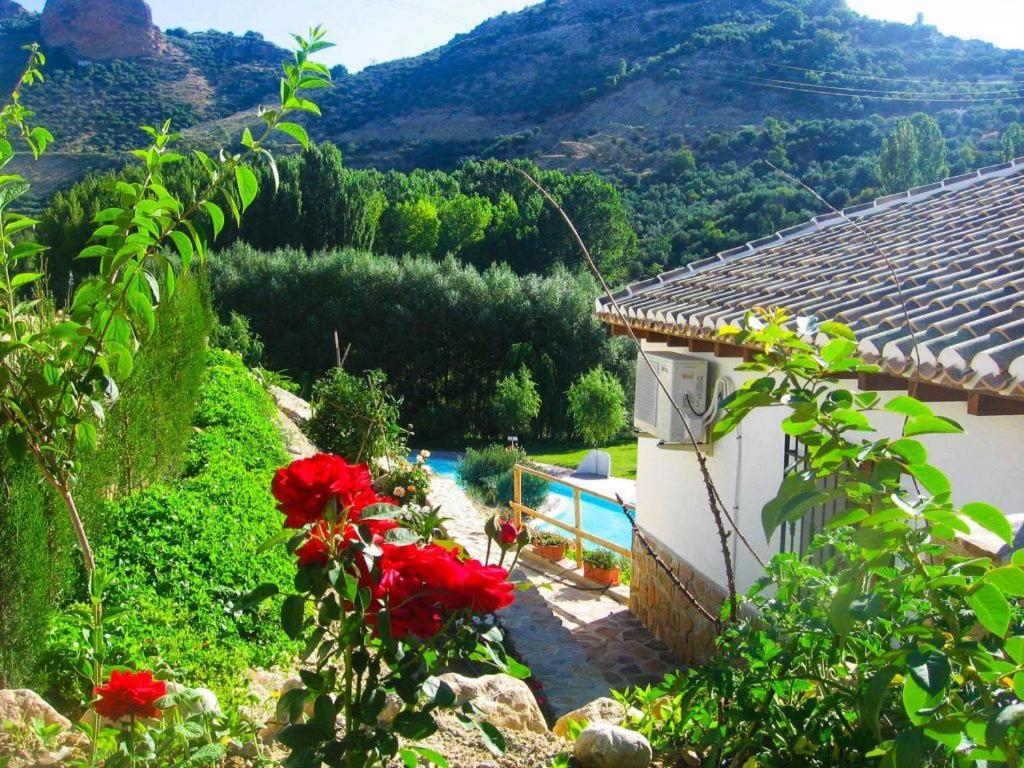 דירות קסטריל Casa Rocio מראה חיצוני תמונה